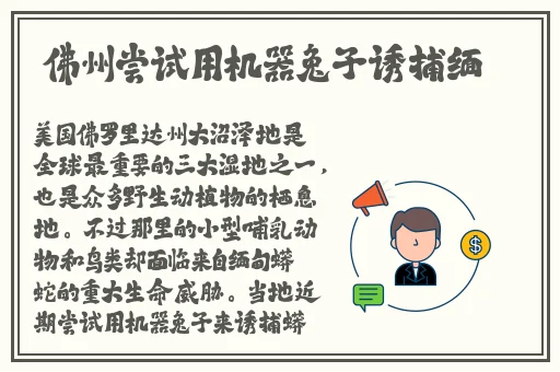 忘忧草蜜芽
